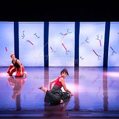 Bloom 20251106 086.jpg