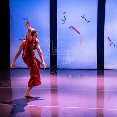 Bloom 20251106 087.jpg