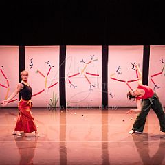 Bloom 20251106 114.jpg