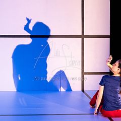 Feuilles 20220411 027.jpg