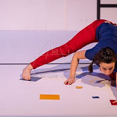 Feuilles 20220411 061.jpg