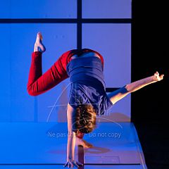 Feuilles 20220411 071.jpg