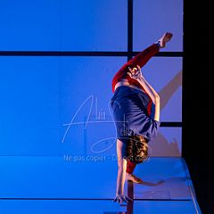 Feuilles 20220411 072.jpg