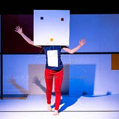 Feuilles 20220411 133.jpg