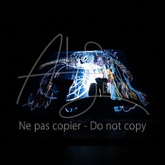 GrainsDeVolutes 20211130 110.jpg