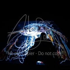 GrainsDeVolutes 20211130 112.jpg