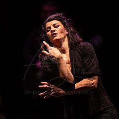 TumulTe 20210118 069.jpg