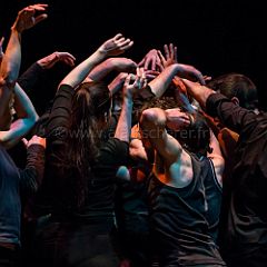 L Homme_d_Habitude_20130222_042 CPR.jpg