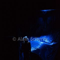 TheRareBirds Jann_20170131_001 CPR.jpg