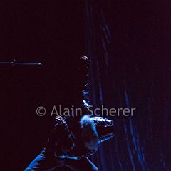 TheRareBirds Jann_20170131_003 CPR.jpg