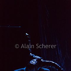 TheRareBirds Jann_20170131_004 CPR.jpg