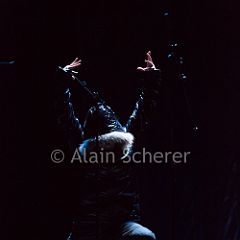 TheRareBirds Jann_20170131_007 CPR.jpg