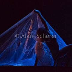 TheRareBirds Jann_20170131_022 CPR.jpg