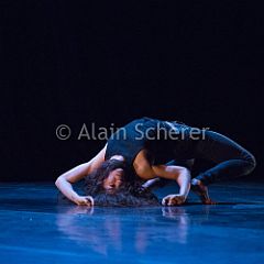 Cie Yann Lheureux - The Rare Birds