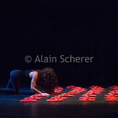 TheRareBirds Maura_20170131_026 CPR.jpg