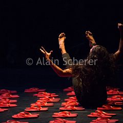 TheRareBirds Maura_20170131_028 CPR.jpg