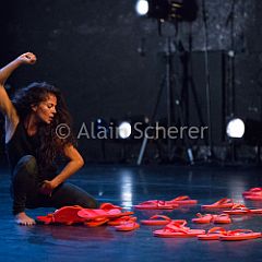 TheRareBirds Maura_20170131_032 CPR.jpg