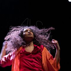 KissAndFly 20210304 033.jpg