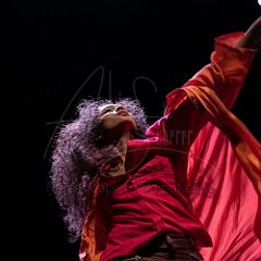 KissAndFly 20210304 034.jpg