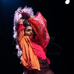 KissAndFly 20210304 037.jpg