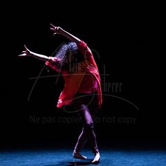 KissAndFly 20210304 115.jpg