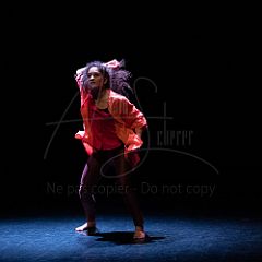 KissAndFly 20210304 131.jpg