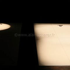 Accepter Comme_Ami_20120922_1208 CPR.jpg