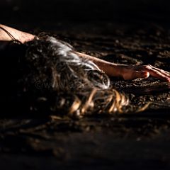 Errata 20140215_052 CPR.jpg