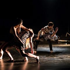 Errata 20140215_112 CPR.jpg