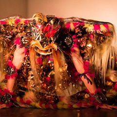 Dumi Moyi_20130702_021 CPR.jpg