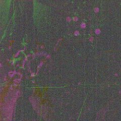 LaNavetteEnchantée 20210908 248.psd