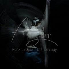 ReverseDiscourse 20230128 025.jpg