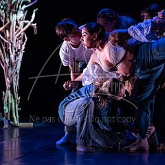 Home 20230408 019.jpg