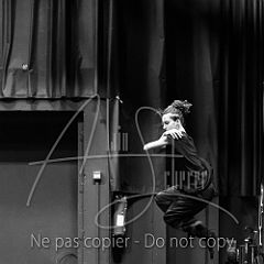 JadeCommaret-Solo 20231015 009.jpg