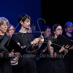 Stars 20250401 013.jpg