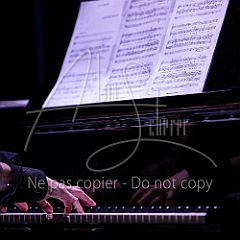 Stars 20250401 017.jpg