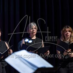 Stars 20250401 027.jpg