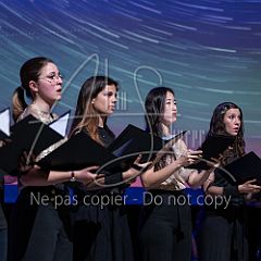 Stars 20250401 028.jpg