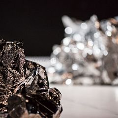 SPEKIES 20140213_038 CPR.jpg