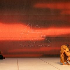 LesOiseaux 20250629 004.jpg