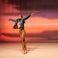 LesOiseaux 20250629 012.jpg