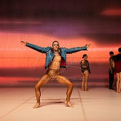 LesOiseaux 20250629 013.jpg