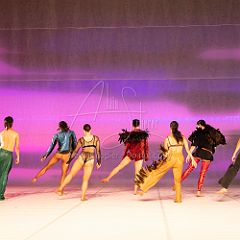 LesOiseaux 20250629 030.jpg