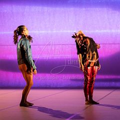 LesOiseaux 20250629 035.jpg