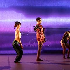 LesOiseaux 20250629 036.jpg