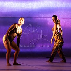 LesOiseaux 20250629 037.jpg