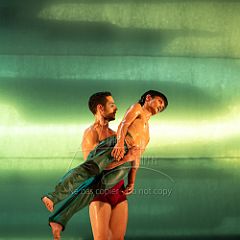 LesOiseaux 20250629 060.jpg