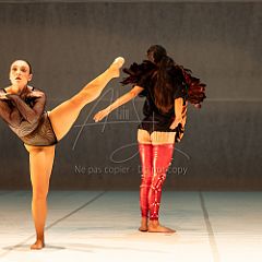 LesOiseaux 20250629 076.jpg