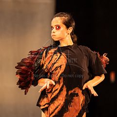 LesOiseaux 20250629 082.jpg