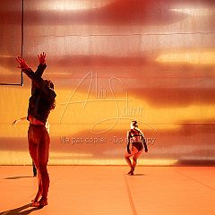 LesOiseaux 20250629 086.jpg